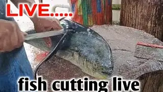 Fishdaykl12 is live fish cutting LIVE 😋😋😋🥰🥰
