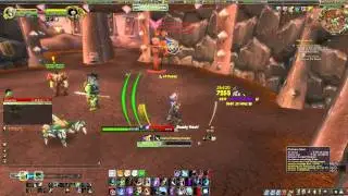 Marksman Hunter Rotation