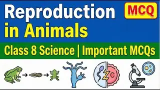 Reproduction in Animals Class 8 | Most Important MCQs for Exams #scopeclasses #spokenenglish
