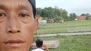 Notho P.$.K PGMR 39 PIGEON FARM sedang live sekarang! latihan sore