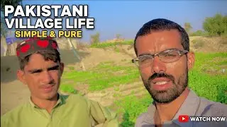 Real Village Life of Pakistan: Simplicity and Beauty of Rural Pakistan | Pakistani Village Vlog