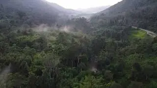 Hutan Kenaboi
