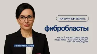 Как устроена дерма? Зачем нам фибробласты и где живёт коллаген? | Часть 1
