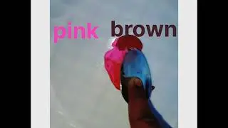 pink colour and brown colour both colour mixing it turn into Candy colour !! #shorts