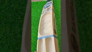 dp double blade bat Bahubali bat bat