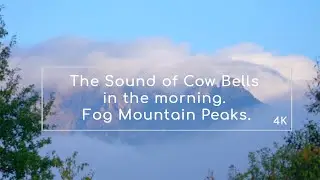The Sound of Cow Bells in the morning. Fog Mountain Peaks. Relaxing time / HQ 4k #02
