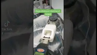 Office carpet deep shampoo cleaning |carpet cleaning dubai|www.cleanit.ae|No 1 carpet cleaning dubai