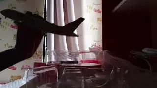 Unboxing My Etihad Airbus A380 20Cm Aircraft Model #a380#airbusa380#etihad#aircraftmodel#plane 