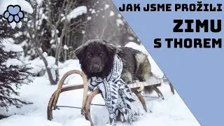 Winter 2020/21 with Thor