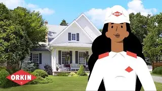 Mosquito Control: How Orkin Helps Protect Your Backyard