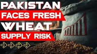 All of your Buisness | Pakistan Faces Fresh Wheat Supply Risk | Mehtab Haider | Pakistan Connect