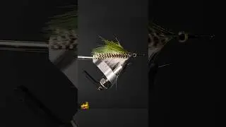 Matts 40: Fly Tying ASMR #shorts
