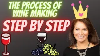 The Process of Wine Making Step by Step