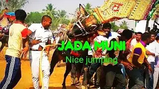 Hosur bull festival | 2018 |dasanapuram