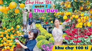 Chợ hoa tết quận 2 Thủ Đức 2024 mê mẩn dàn kiểng trĩu quả 100 tỉ