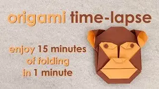 Origami Time-Lapse: Monkey Head (Robin Glynn)