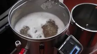Grainfather Brewing : Rhubarb Saison Brew Day