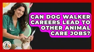 Can Dog Walker Careers Lead to Other Animal Care Jobs? - Animal Care Jobs