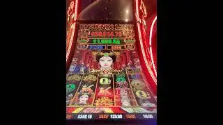 3526 still  p[lay on Queen Chu slot 20251230 113216~5