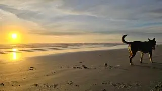 Van Life Our Best Decision | Oregon Coast