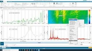 Processing Cursor Frequency, Spectrum, Order