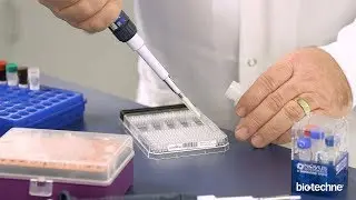 Bio-Techne - Great Antibodies Do Not Happen By Accident