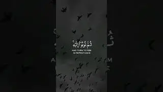 Unlocking the SECRET to Inner Peace with Quran Recitation #quran #allah #islam #muslim #aesthetic