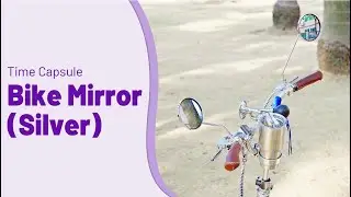 Time Capsule Bike Mirror - Silver