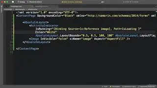 038 Activity Indicator - Xamarin Forms Course