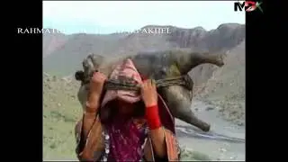 7 KADY YE PO ZEIER MAZDIGHER