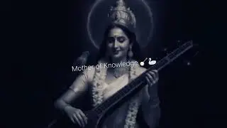 Happy Saraswati Puja 2026 | Maa Saraswati Status Video | Basant Panchami Special 🎶📚