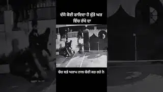 kutte v chora to dar gae eh aa punjab da hal shere kardo subscribe kardo like kar #travel