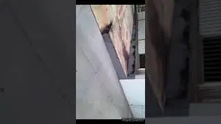 Mandando manobras em cal&ccedil;adas!   Feat; Alexssandromatriz