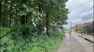Dijual Tanah SHM 800 m&sup2; Bonus Pohon Jati Matang di Cibinong Bogor
