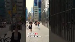 On University Ave 🇨🇦, #downtown #toronto #shorts