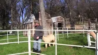 Beta now willing to kneel down with his front legs.