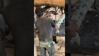 Achieve Precision Wood Cutting Tips from Expert Sawmill Operators