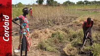 Climate-resilient food production in South Sudan | Cordaid