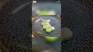 Mesmerizing Woodworking and Incredible Craftsmanship | Satisfying Work Projects