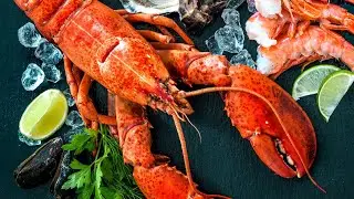 From Catch to Cuisine: Inside the Fascinating World of Rock Lobster Farming | How its made | Lobster