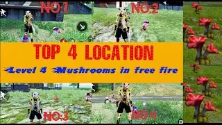 How to find level 4 mushroom in free fire |Top 4 place of level 4 Mashroom | level 4 mushroom