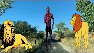 Follow Along Exercise! Wilderness Nature Adventure! Running and Jumping! Get Moving Fitness
