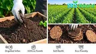 100% Pure Cow Dung Cakes &ndash; Handcrafted, Chemical-Free for Organic Farming, Puja - SRS Natural
