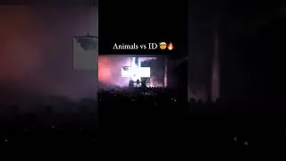 Martin Garrix playing 