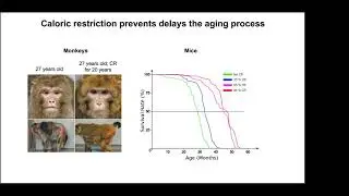 Age-Related Metabolic Changes Drive Tumor Progression