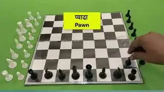 How to Play Chess for Beginners | Chess Kaise Khelte Hain | Chess Complete Guide Hindi