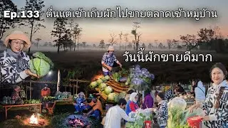 Ep.133 ตื่นแต่เช้ามืดเก็บผักไปขายตลาดเช้าหมู่บ้าน วันนี้ผักขายดีมาก