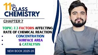 7.3 Factors Affecting Rate Of Chemical Reaction | Concentration & Catalyst ( Homo & Hetrogeneous )