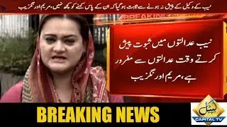 PMLN spokesperson Marriyum Aurangzeb protests against NAB