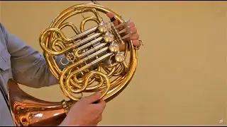 #PoznajInstrument - waltornia